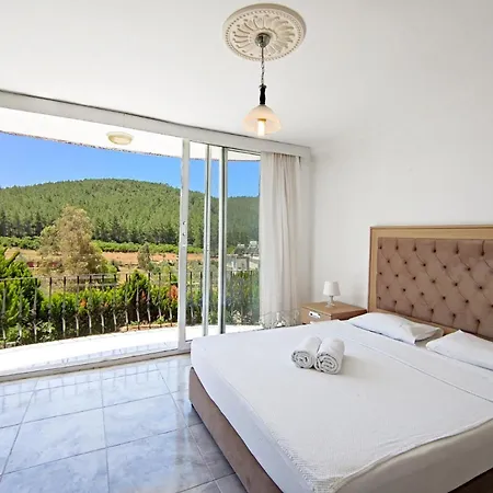 Kuyucak Ikiz Villa * 博德鲁姆